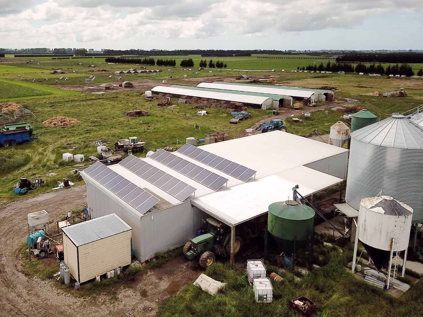 solar power installation at pig farm